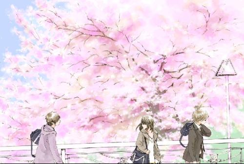 白花暖代表作